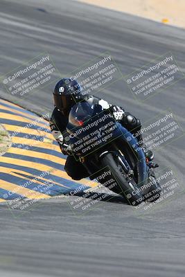 media/Apr-13-2024-SoCal Trackdays (Sat) [[f1617382bd]]/6-Turn 10 (11am)/